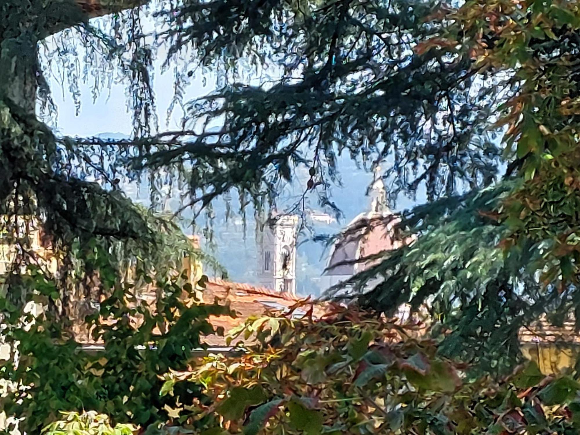 Greenhouse Florenz Zimmer foto